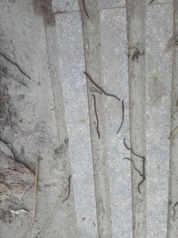 ��������������·������ɱ��