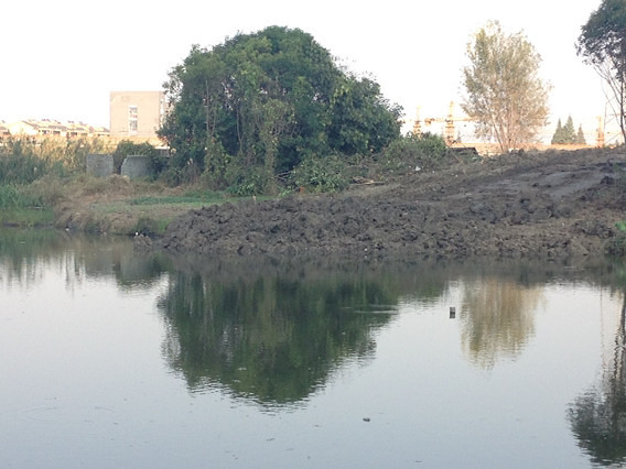 �᲻���ֶ�һ����ͷ�ӣ�