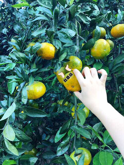 ��Ƶļ��ڣ�ůů�����⣬�����