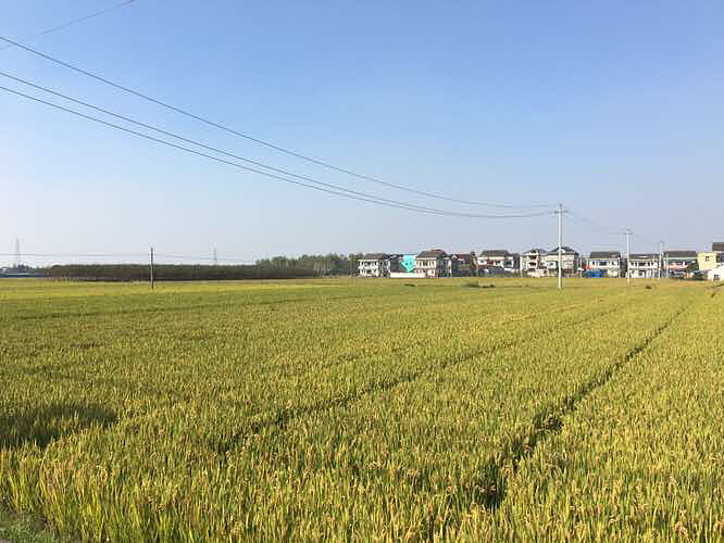 ��Ƶļ��ڣ�ůů�����⣬�����