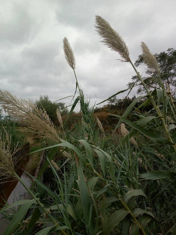 �ֵ�ˮ���յ�����