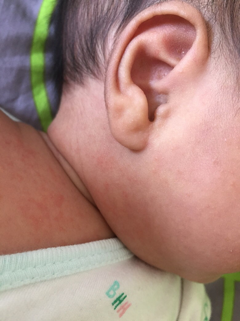 �����������ϳ�����