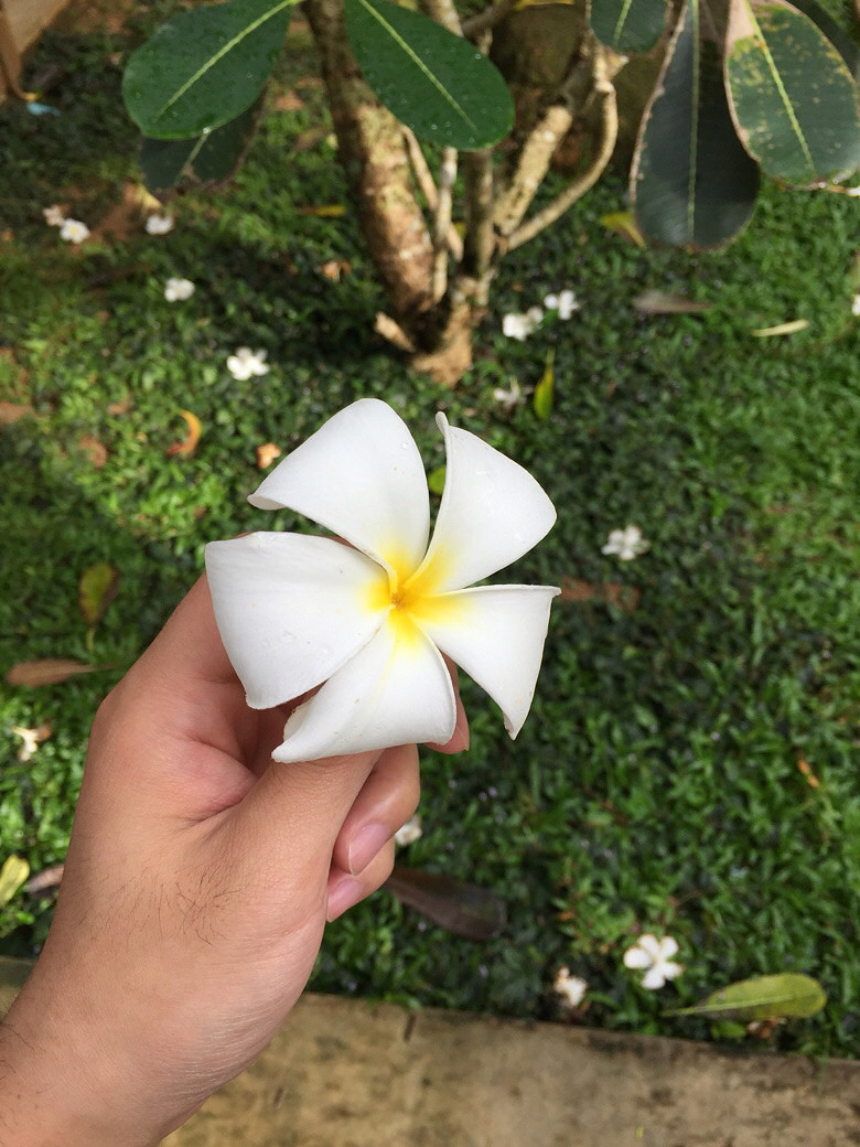 ����ʲô��