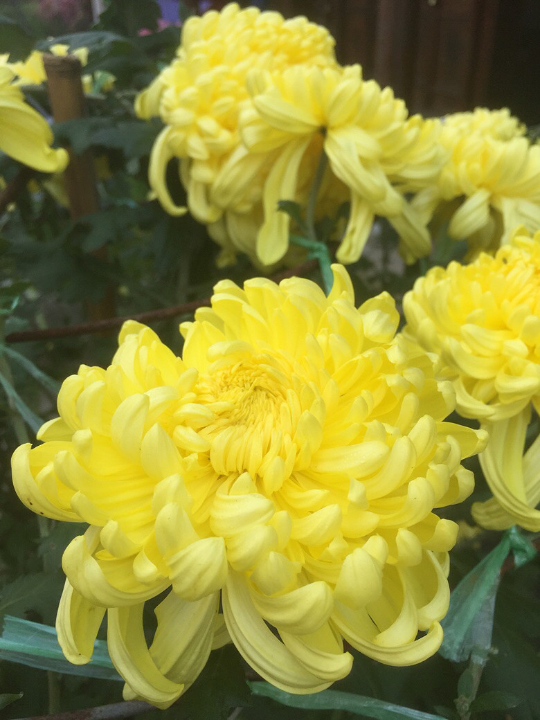 ��ĩ��ȥ��