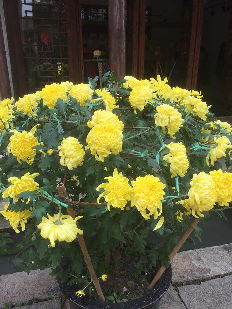 ��ĩ��ȥ��