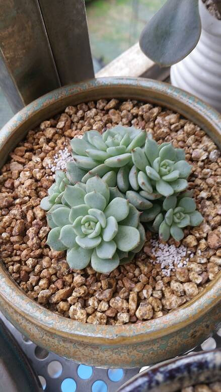 �����Ķ���