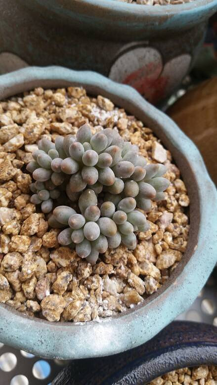 �����Ķ���