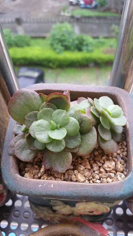 �����Ķ���