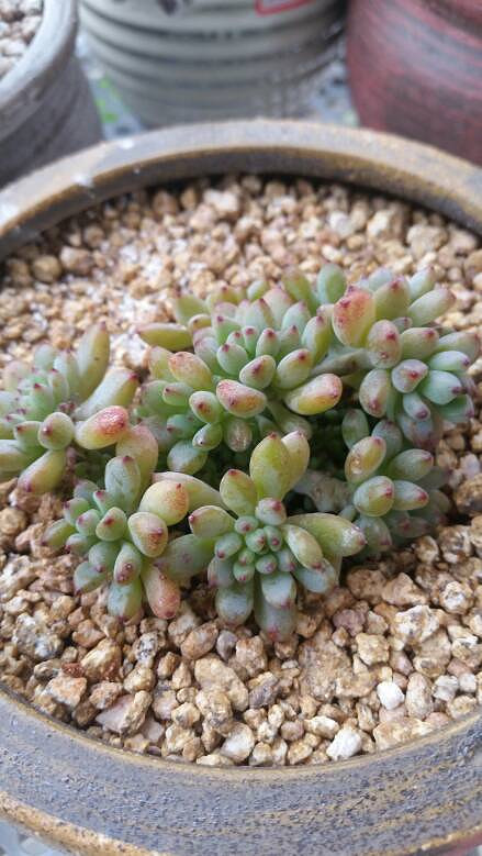 �����Ķ���