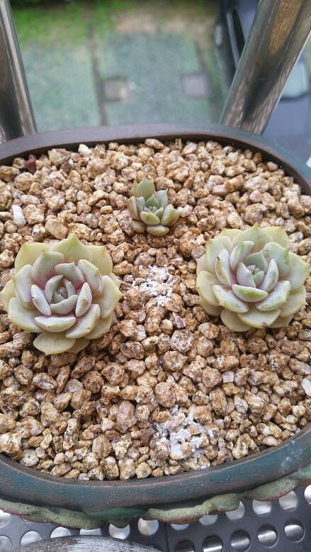 �����Ķ���