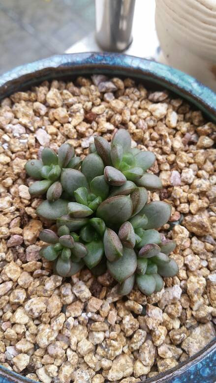 �����Ķ���