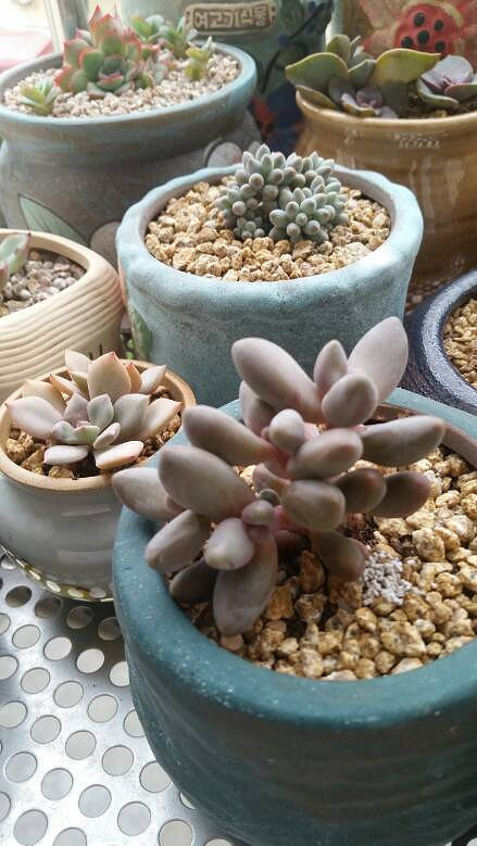 �����Ķ���