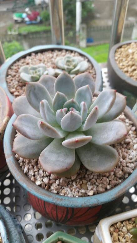 �����Ķ���