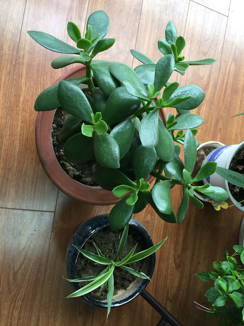 �����ַ�ѿ��