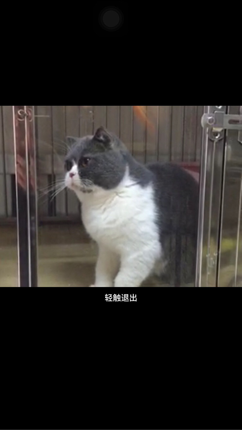 ���׳���MM ����һ�� ��������