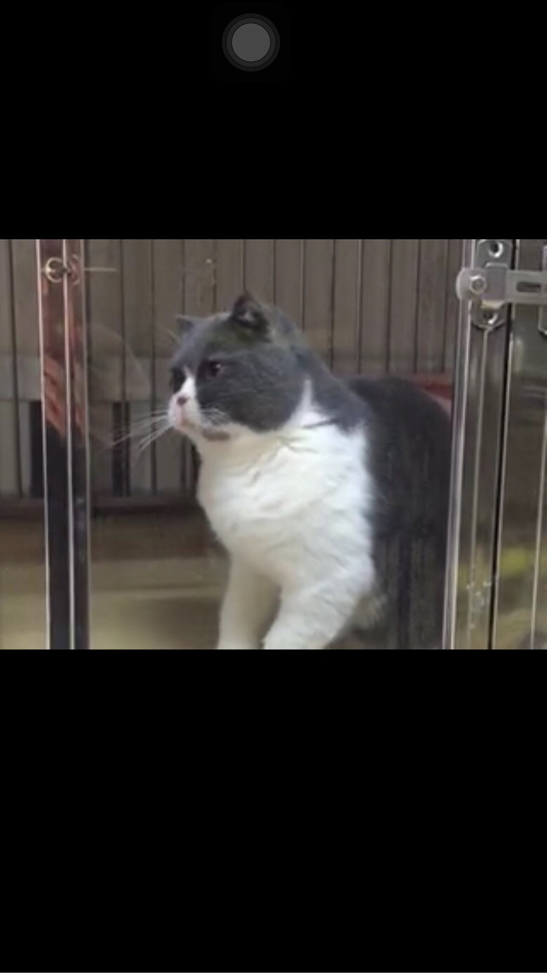 ���׳���MM ����һ�� ��������