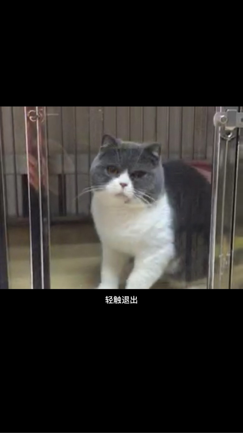 ���׳���MM ����һ�� ��������