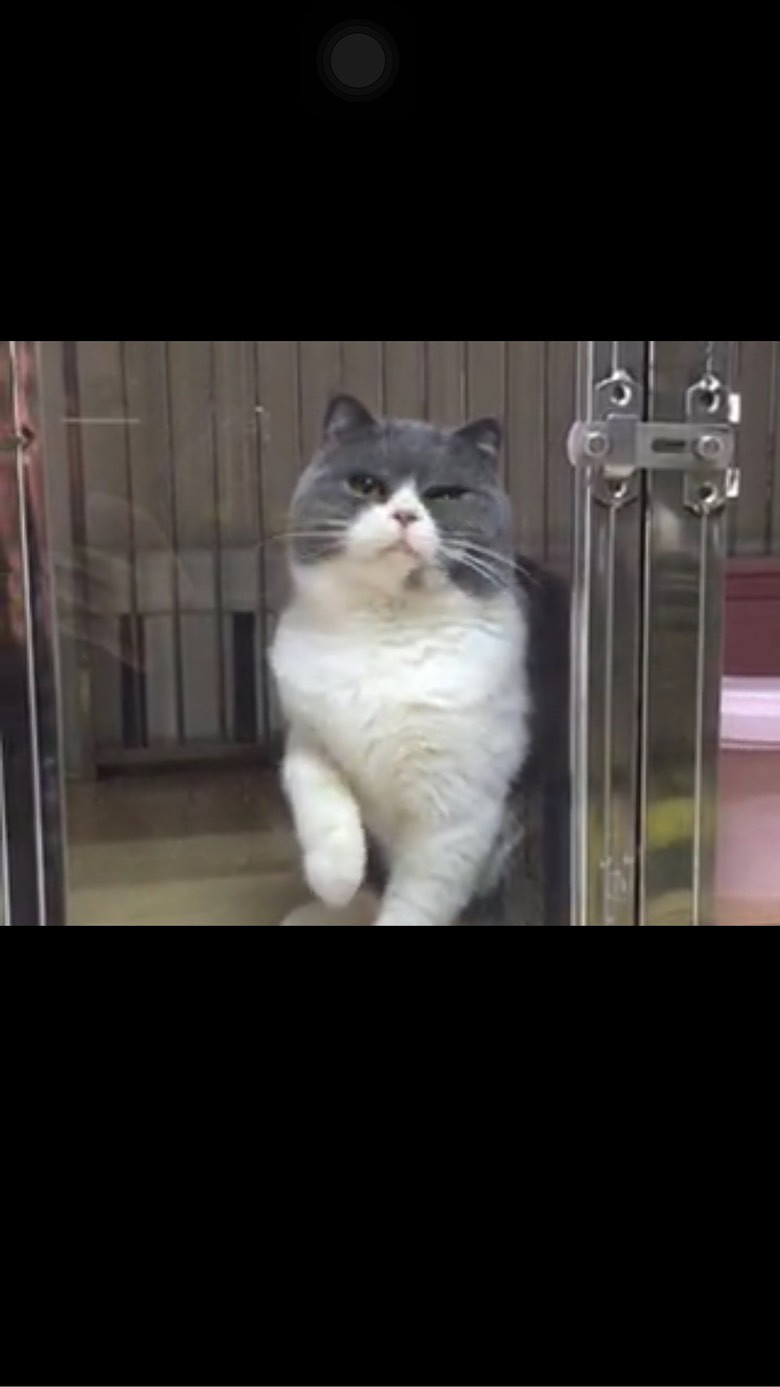 ���׳���MM ����һ�� ��������