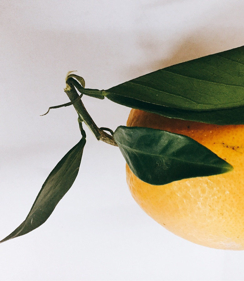 ����һ����ӣ��������к�����