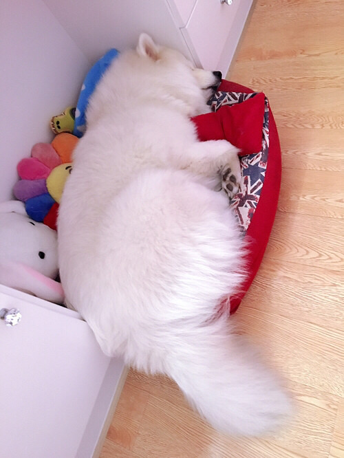 �糿�����Ѿ������ˣ��ԣ�Ư���Ķ������ˣ�