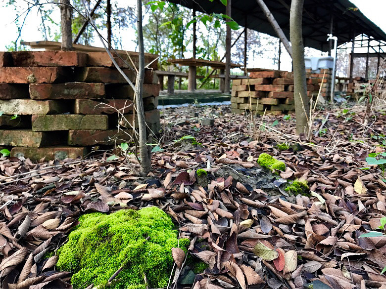 ����ׯʷ��