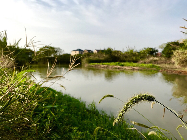 ����ׯʷ��