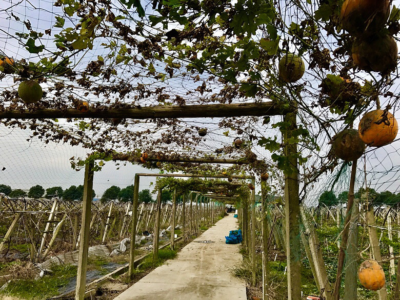 ����ׯʷ��