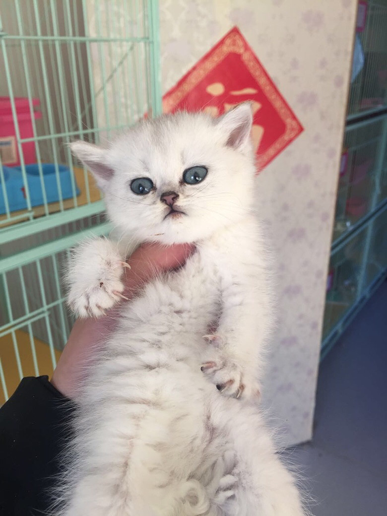 �ܵ��������¼ң�������