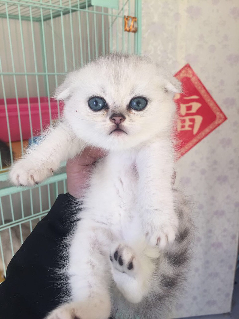 �ܵ��������¼ң�������