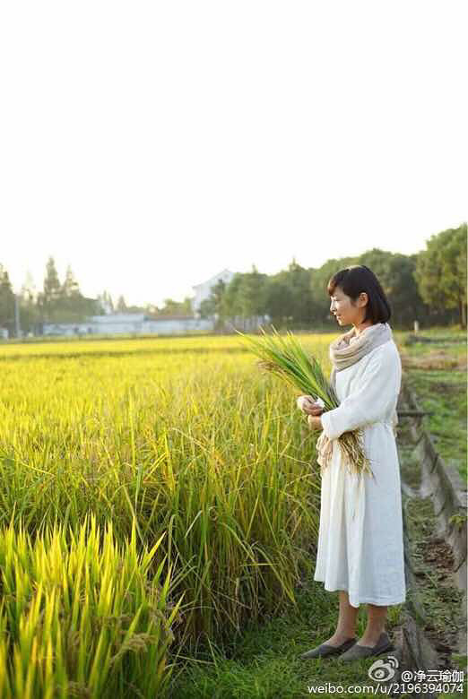 ������õ�һ�� ԭ�ƻ��ǻ����٤ �ֱ��