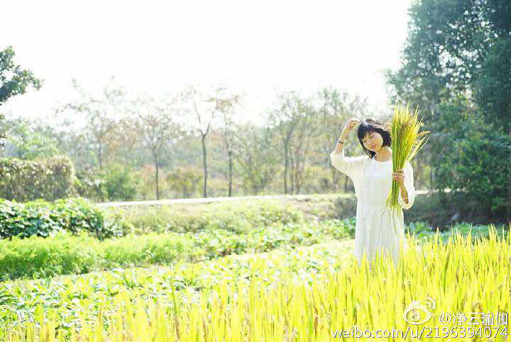 ������õ�һ�� ԭ�ƻ��ǻ����٤ �ֱ��