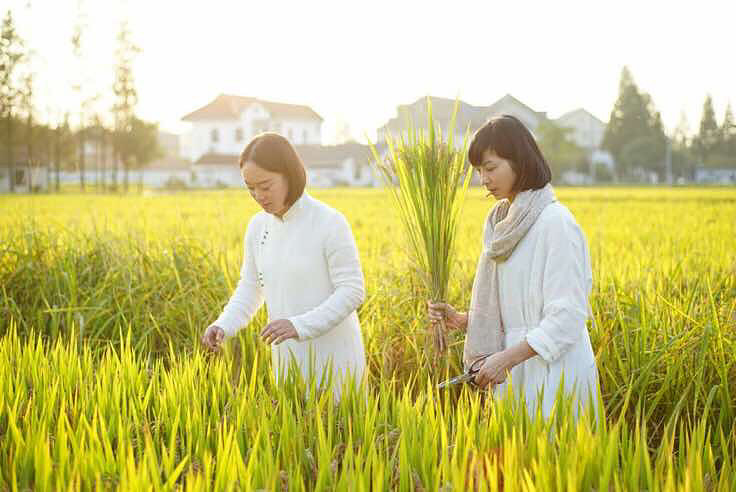 ������õ�һ�� ԭ�ƻ��ǻ����٤ �ֱ��