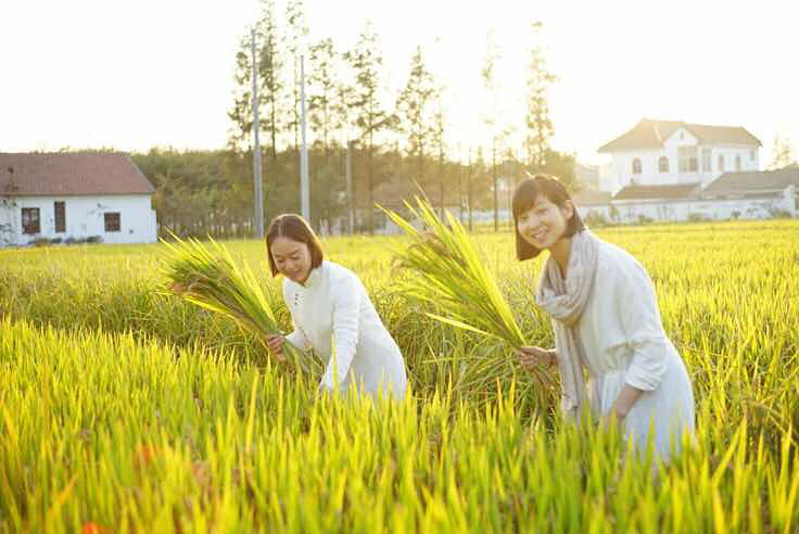 ������õ�һ�� ԭ�ƻ��ǻ����٤ �ֱ��