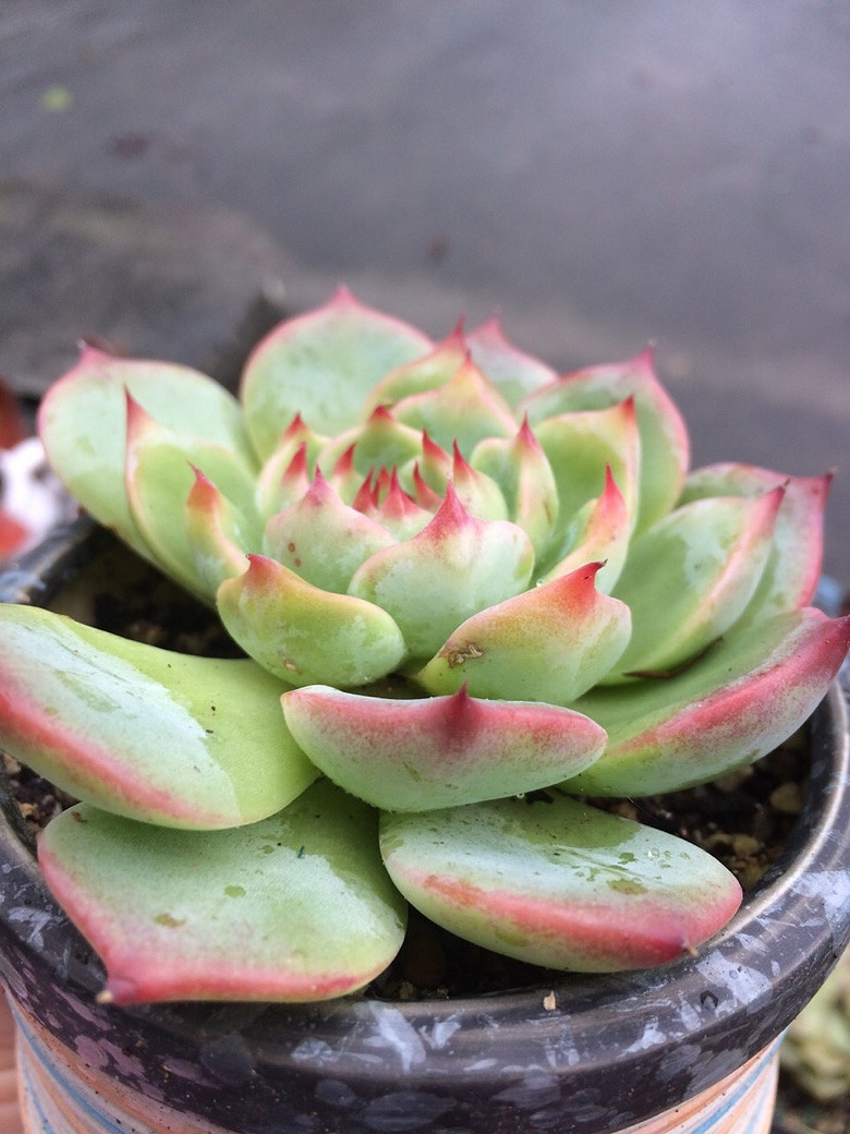 ��������