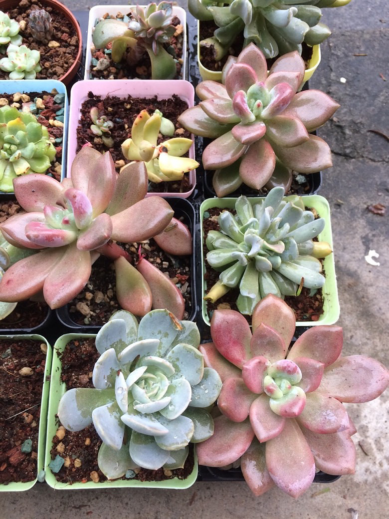 ��������