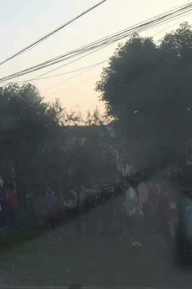 ����ôһȺѧ�������Ǵ�඼�������񹤵���