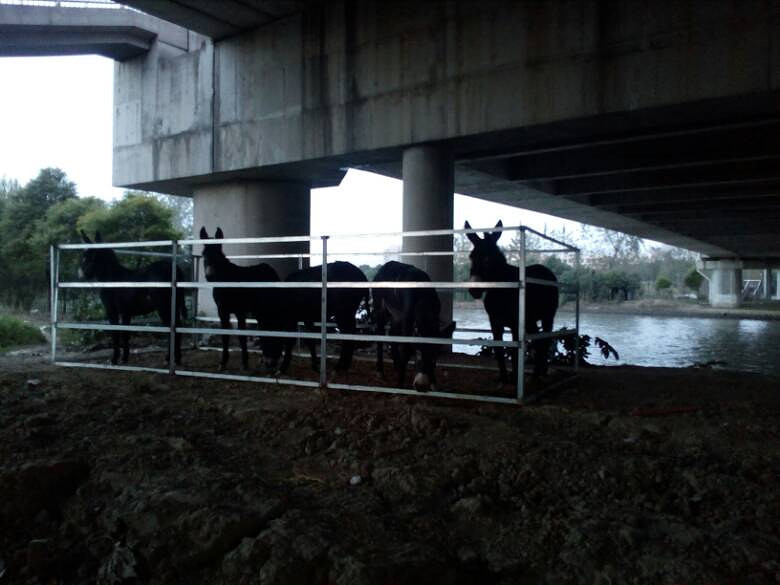 ������Сë¿����Ҫ������в��ˡ�