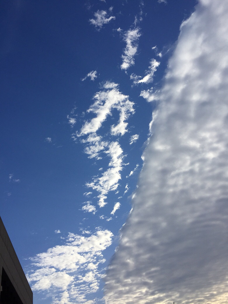 ��������������Ҫ�ѿ�����