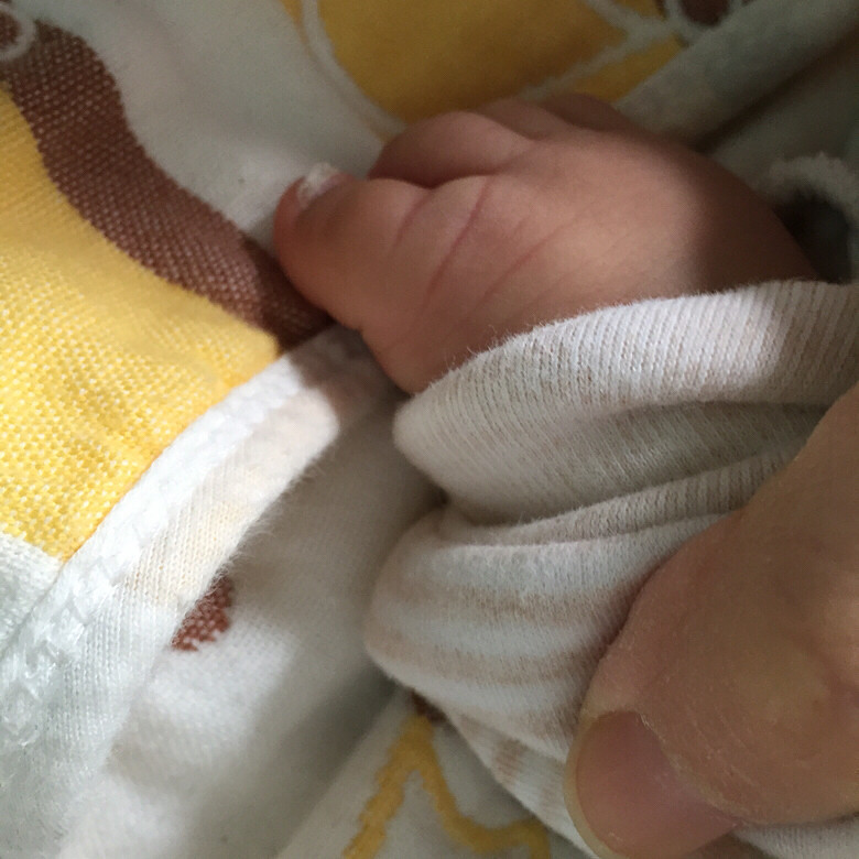 ���ϳ����ͽ�ָ��