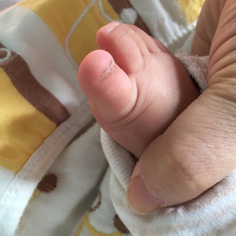 ���ϳ����ͽ�ָ��