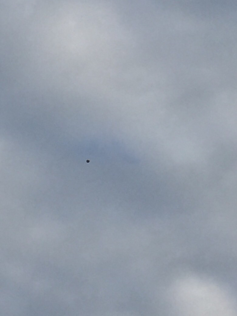 �����Ϻ������������в���������