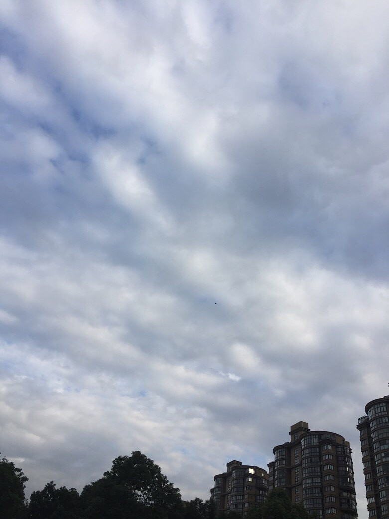 �����Ϻ������������в���������