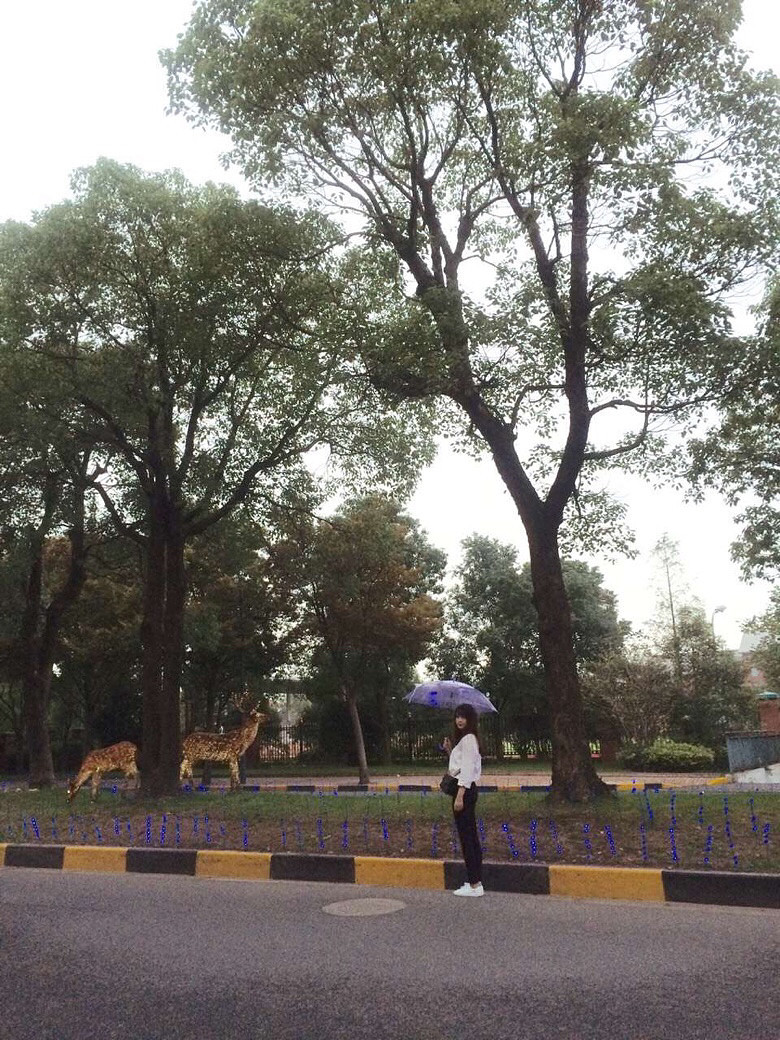 Ϊ�����ö�����