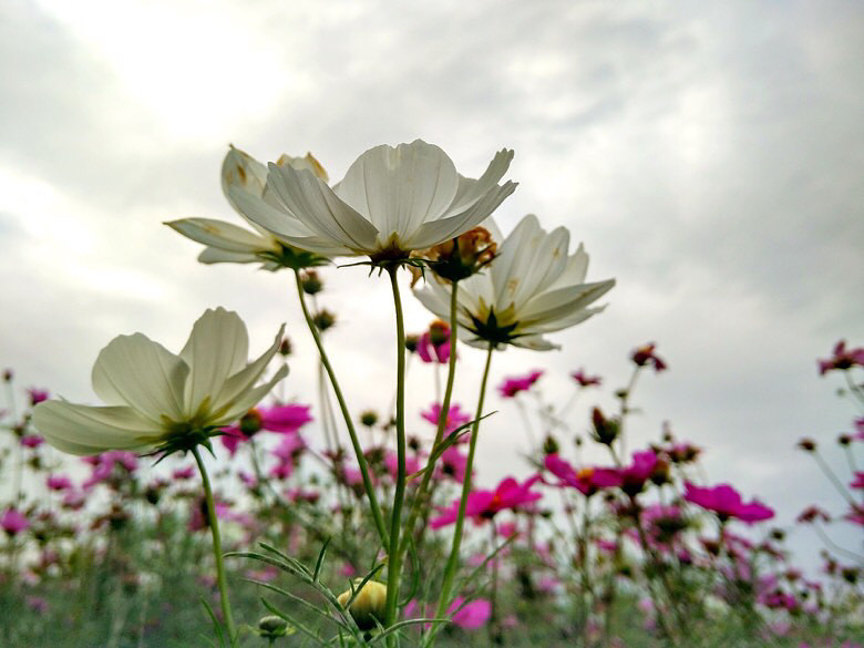 ����Ǯ������ɣ��