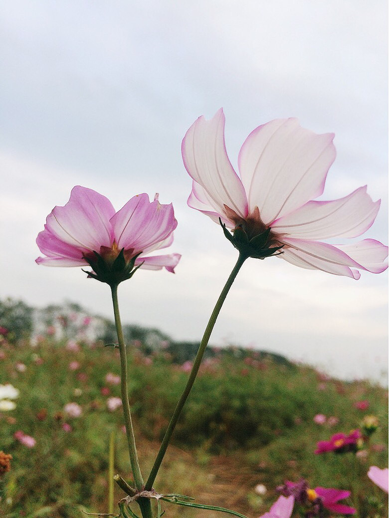 ����Ǯ������ɣ��