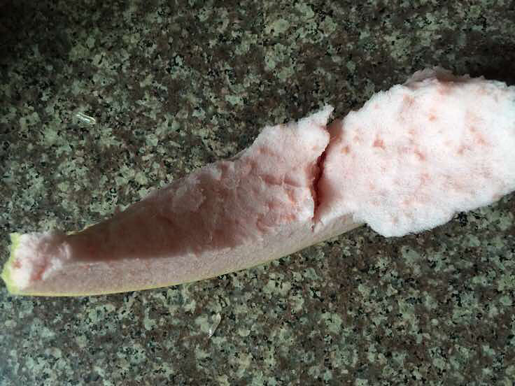 ������ĺ���������