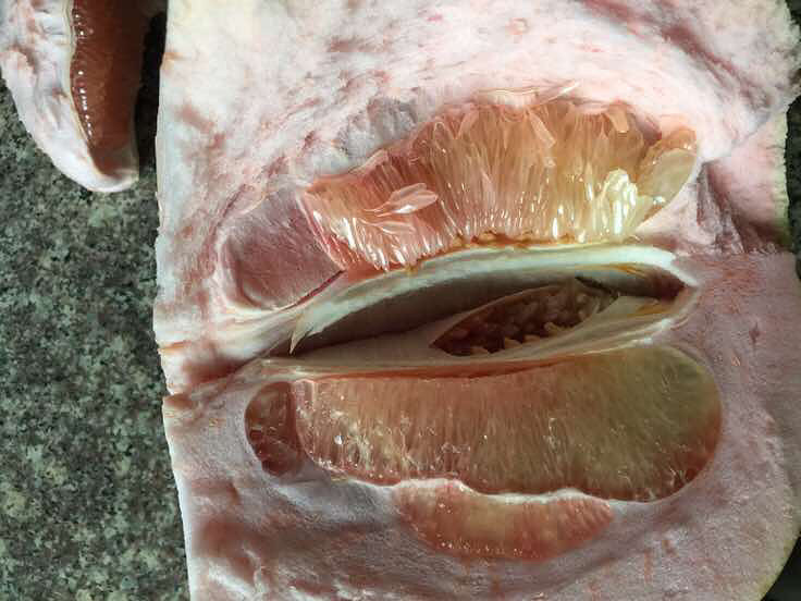 ������ĺ���������