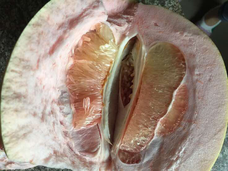 ������ĺ���������