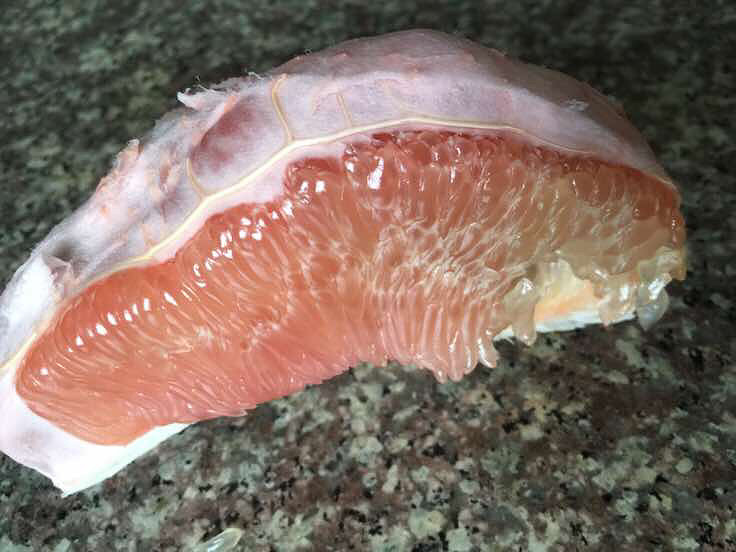 ������ĺ���������