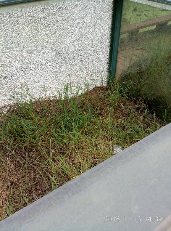 ֲ��԰�ĺ���������ϧ